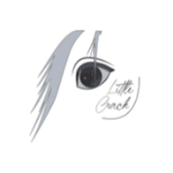 revendeur_littlecrack