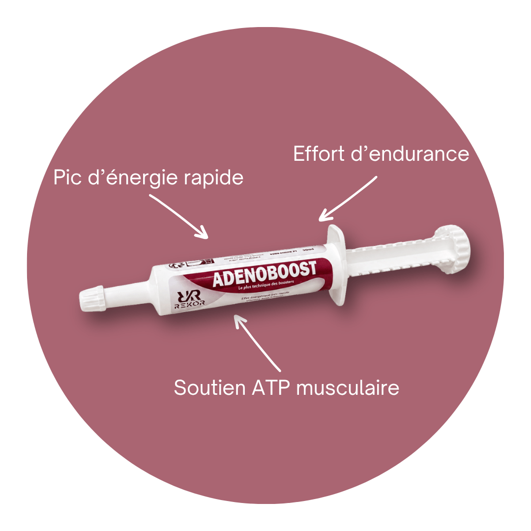 Adenoboost