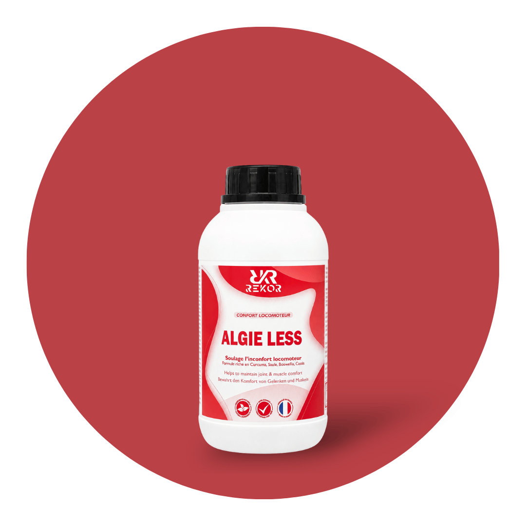 Algie Less