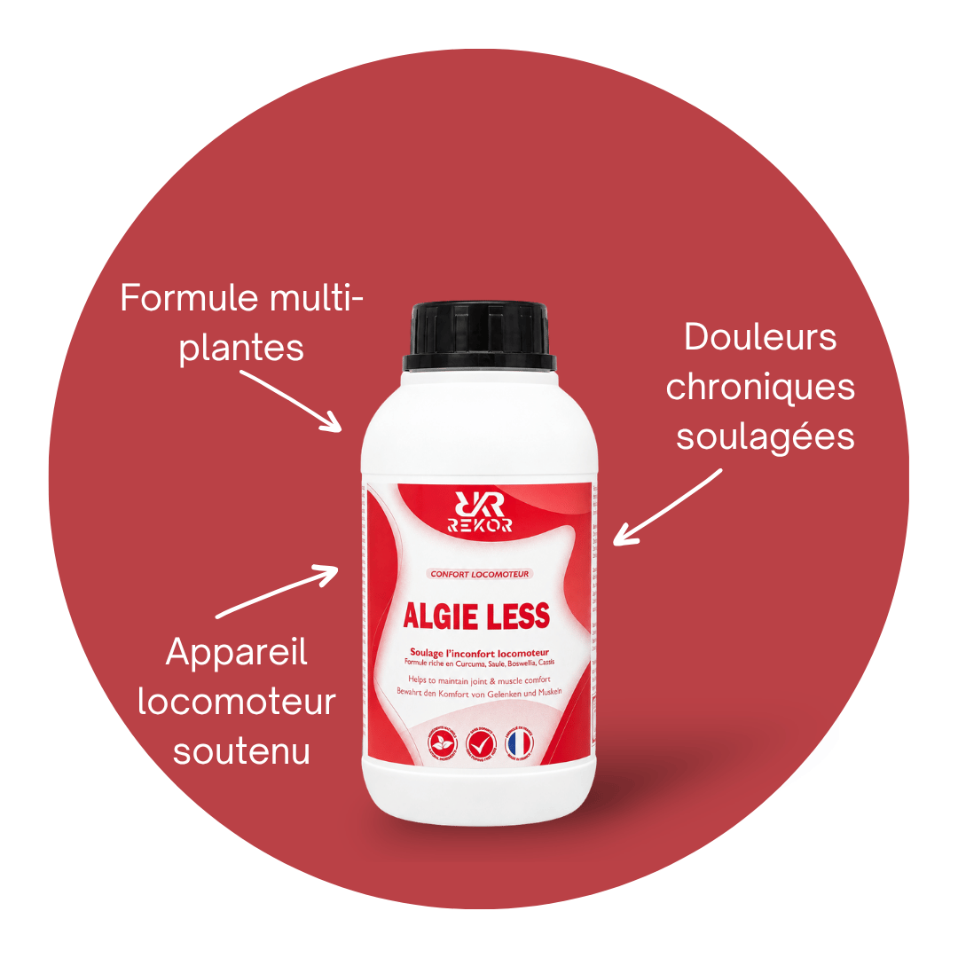 Algie Less