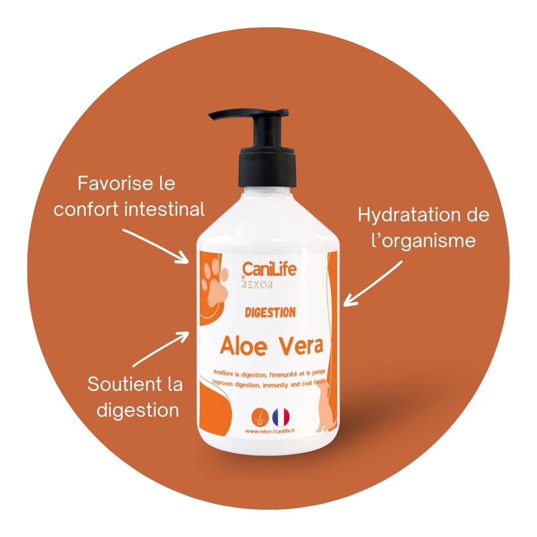 Aloe Vera