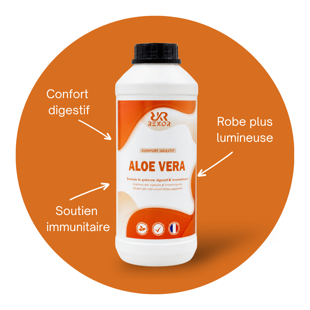 Aloe Vera Jus