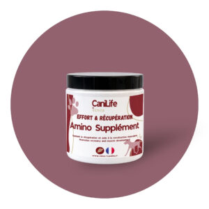 Amino Suppléments