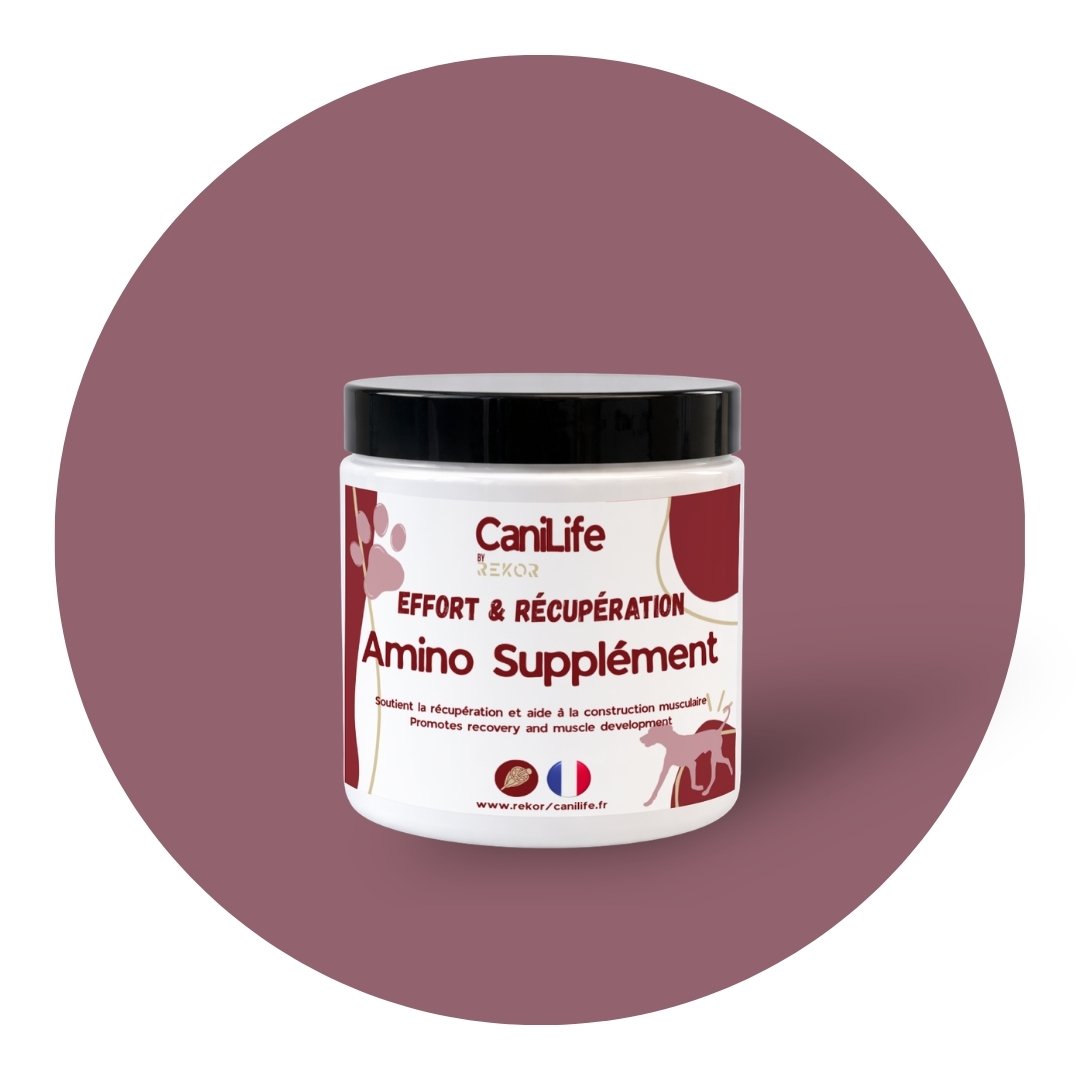 Amino Suppléments