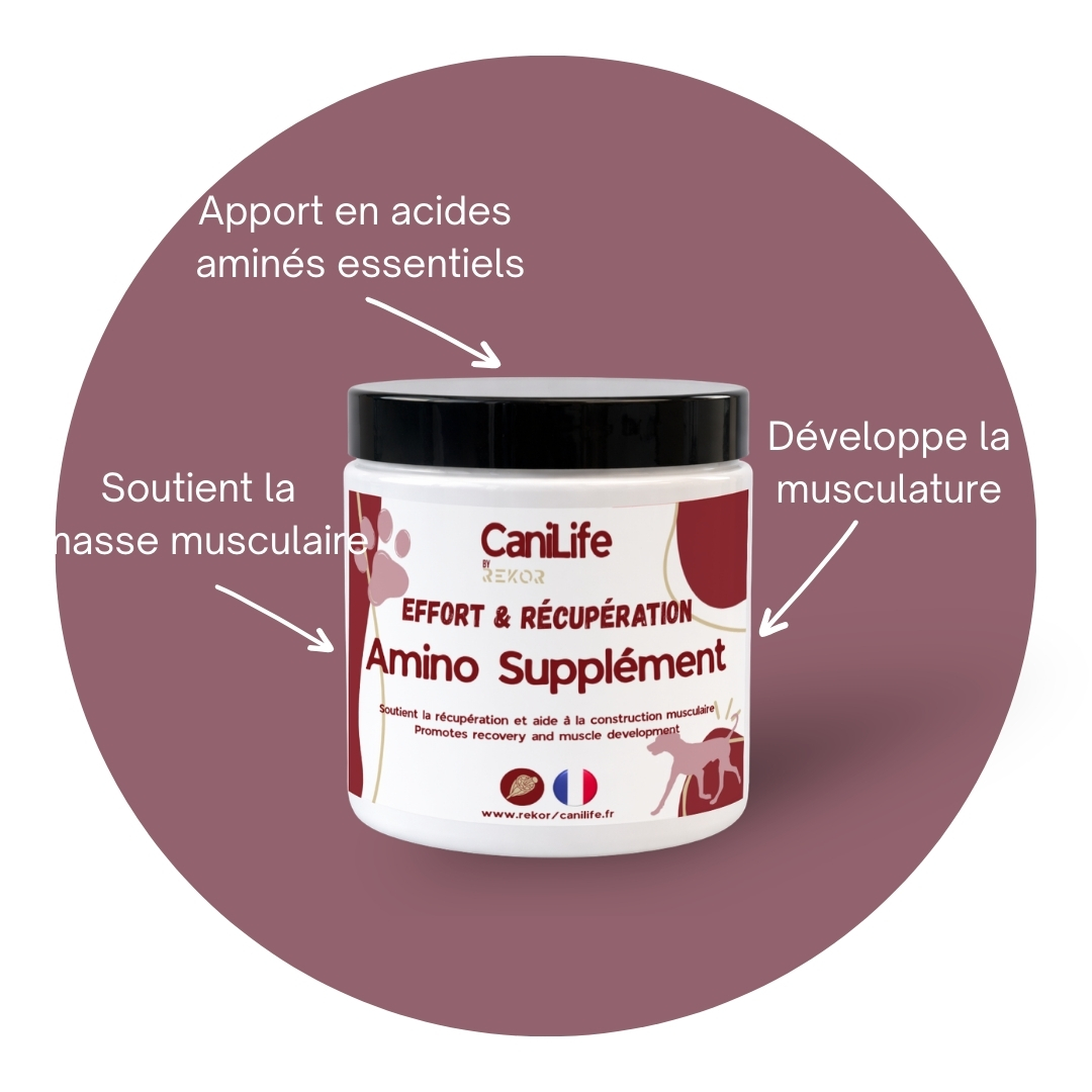 Amino Suppléments