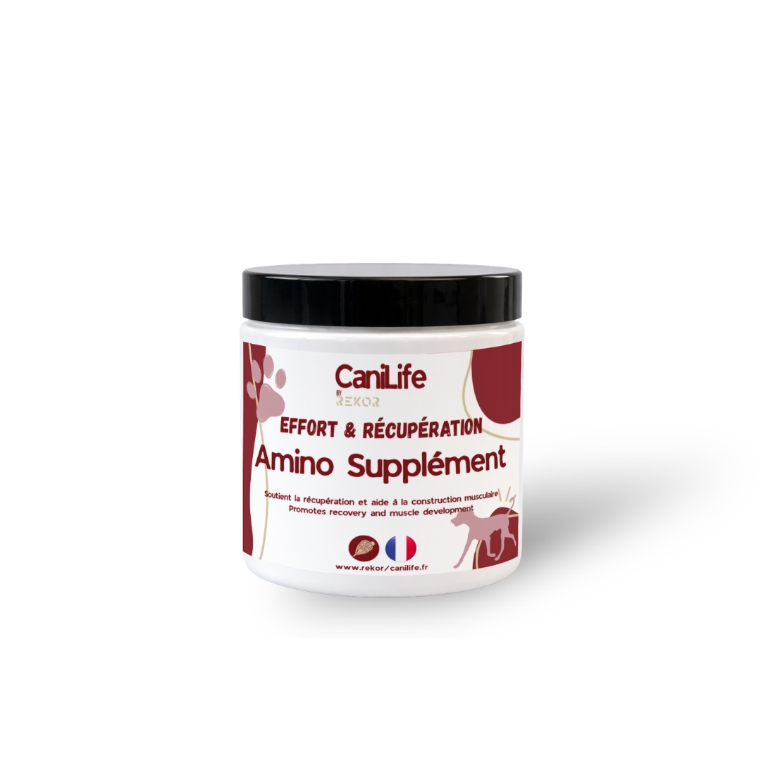 Amino Suppléments