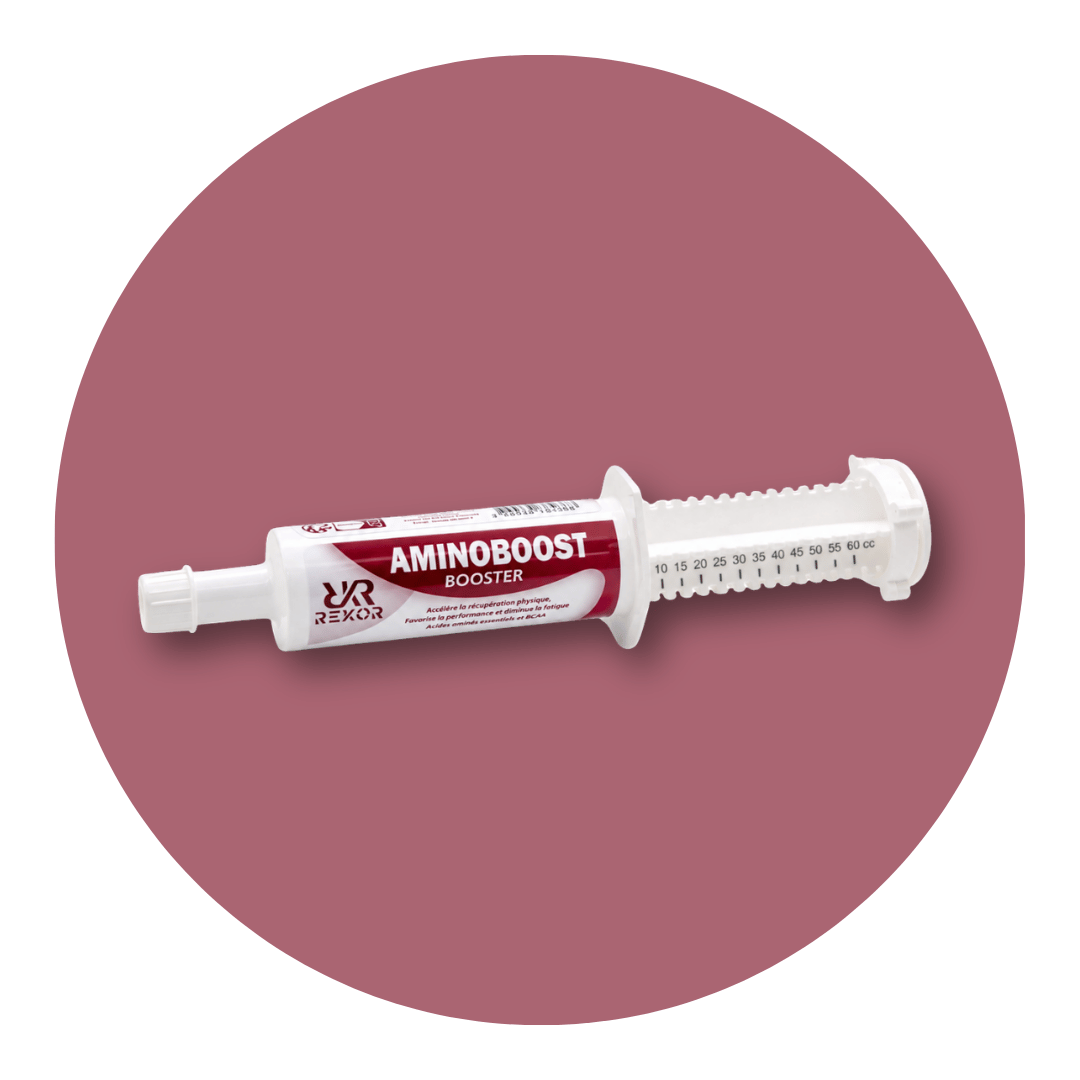 Aminoboost