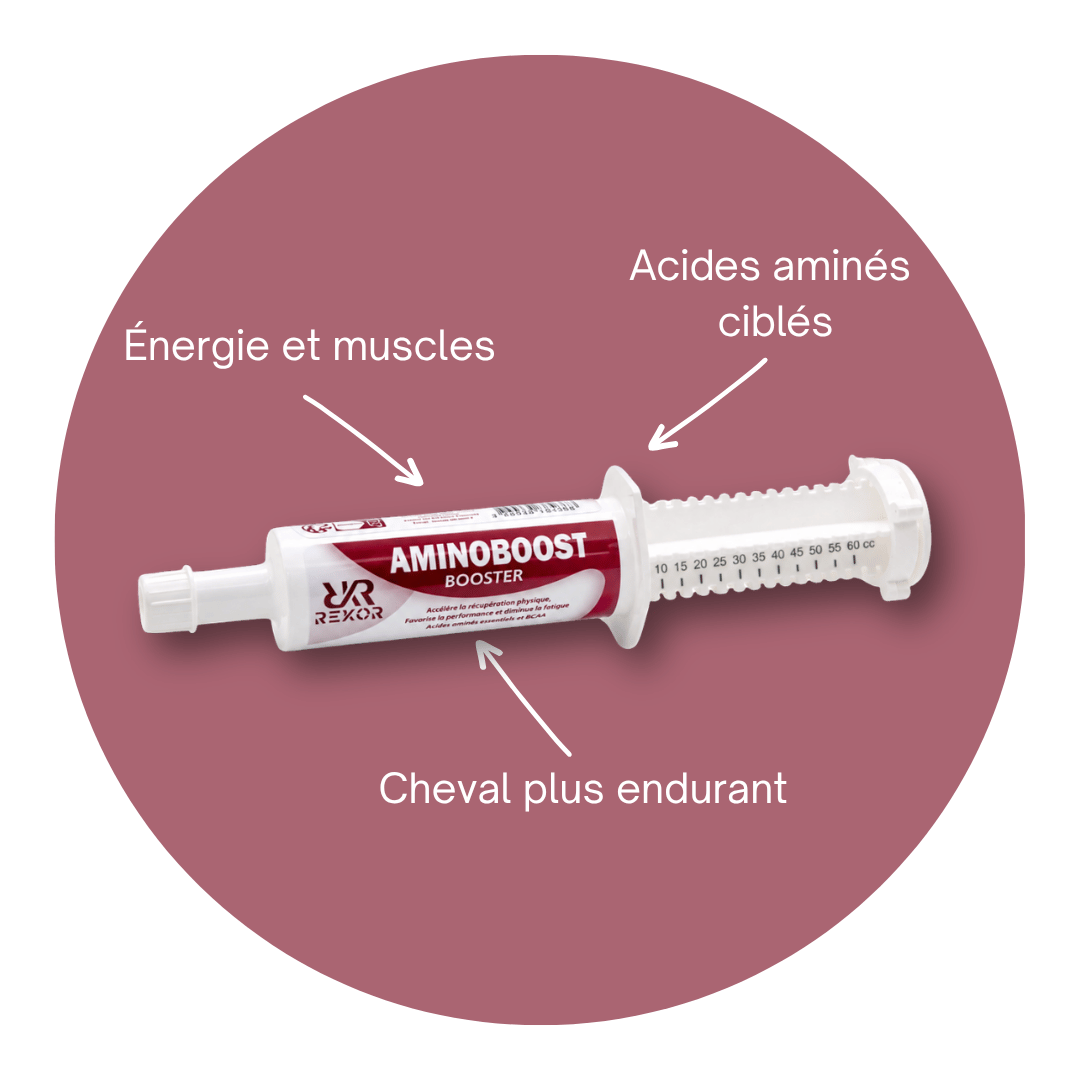 Aminoboost