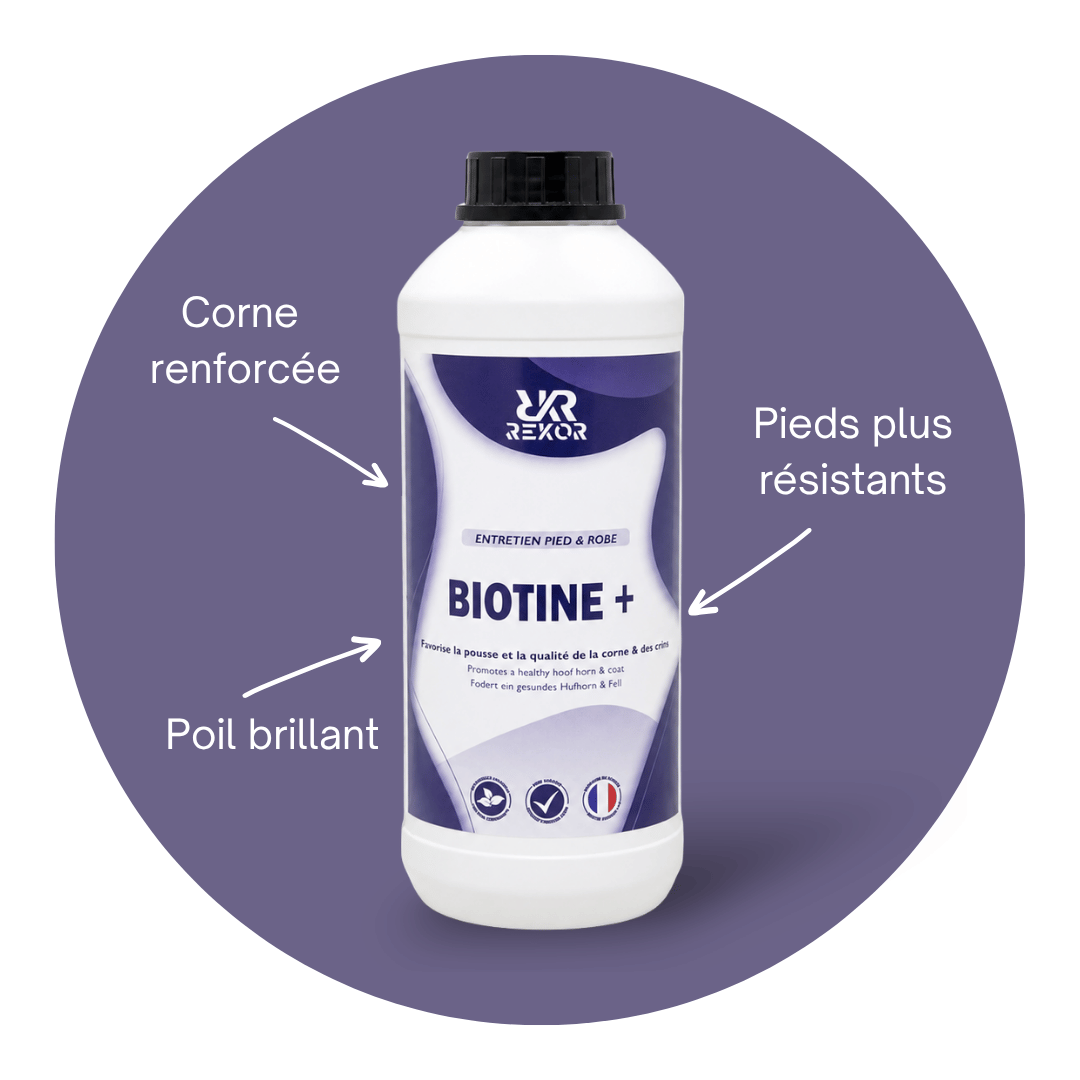 Biotine +