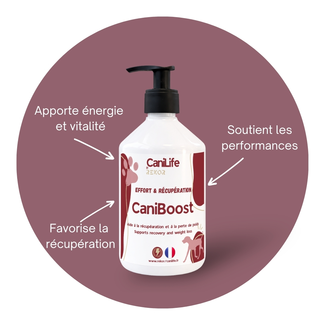 CaniBoost
