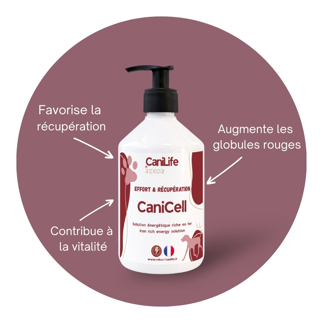 CaniCell