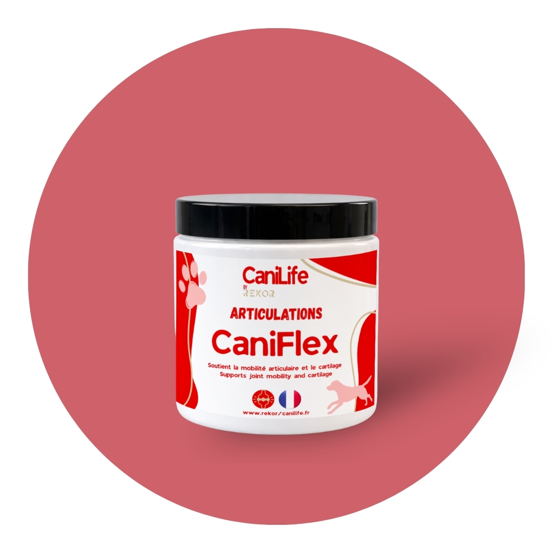 CaniFlex Poudre