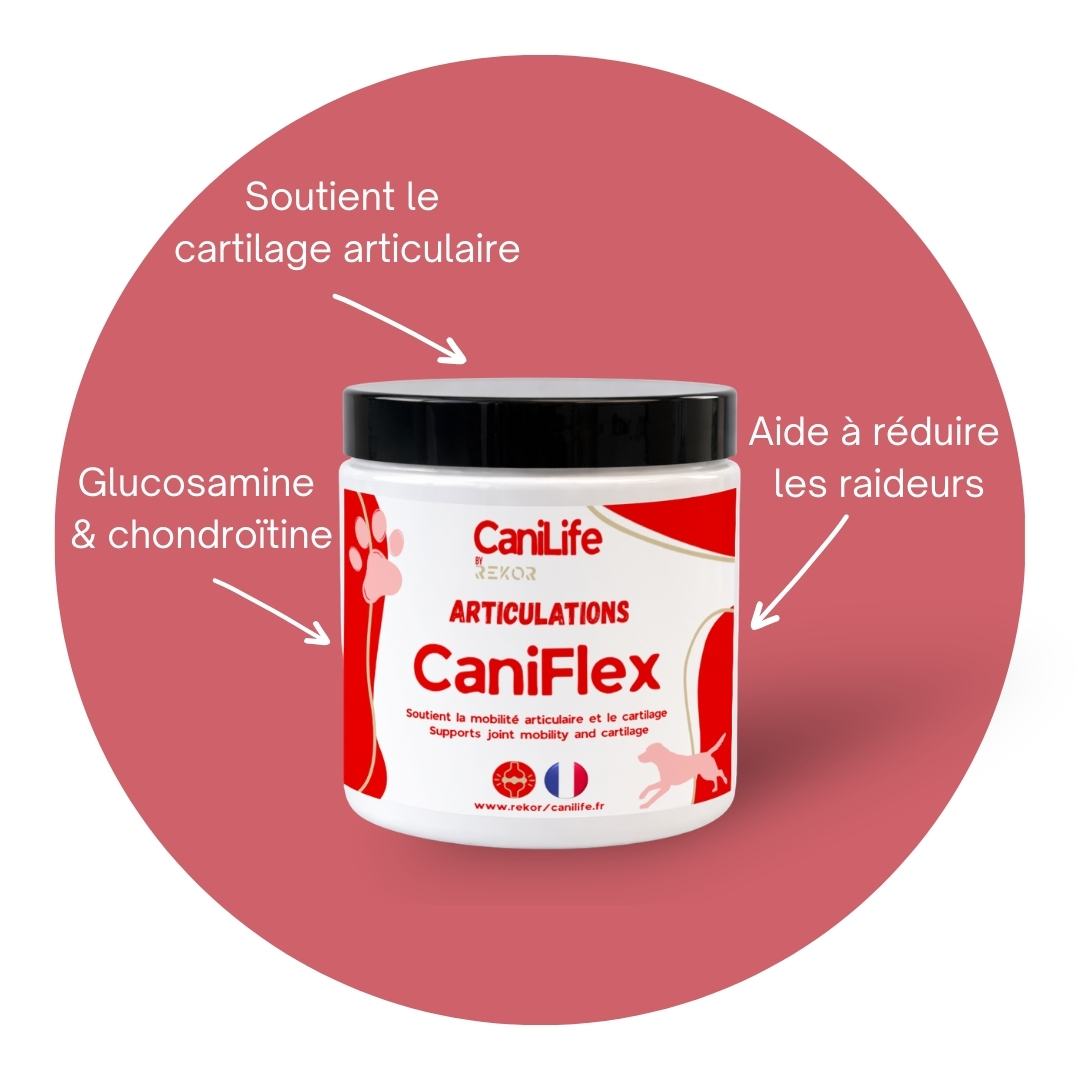 CaniFlex Poudre