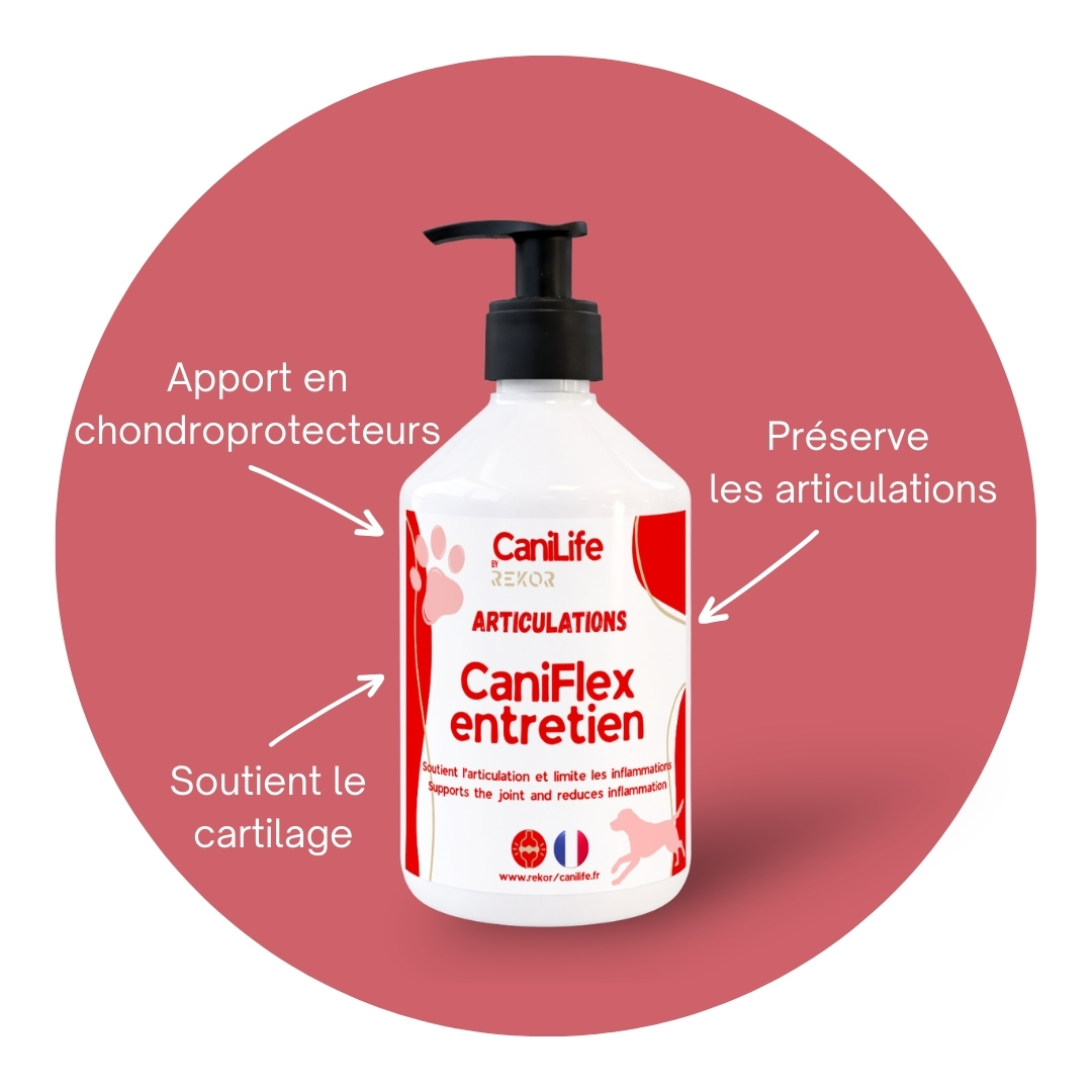 CaniFlex Entretien