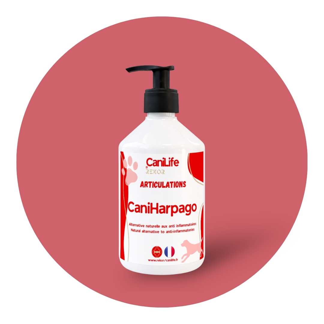 CaniHarpago (Ex CaniBute)