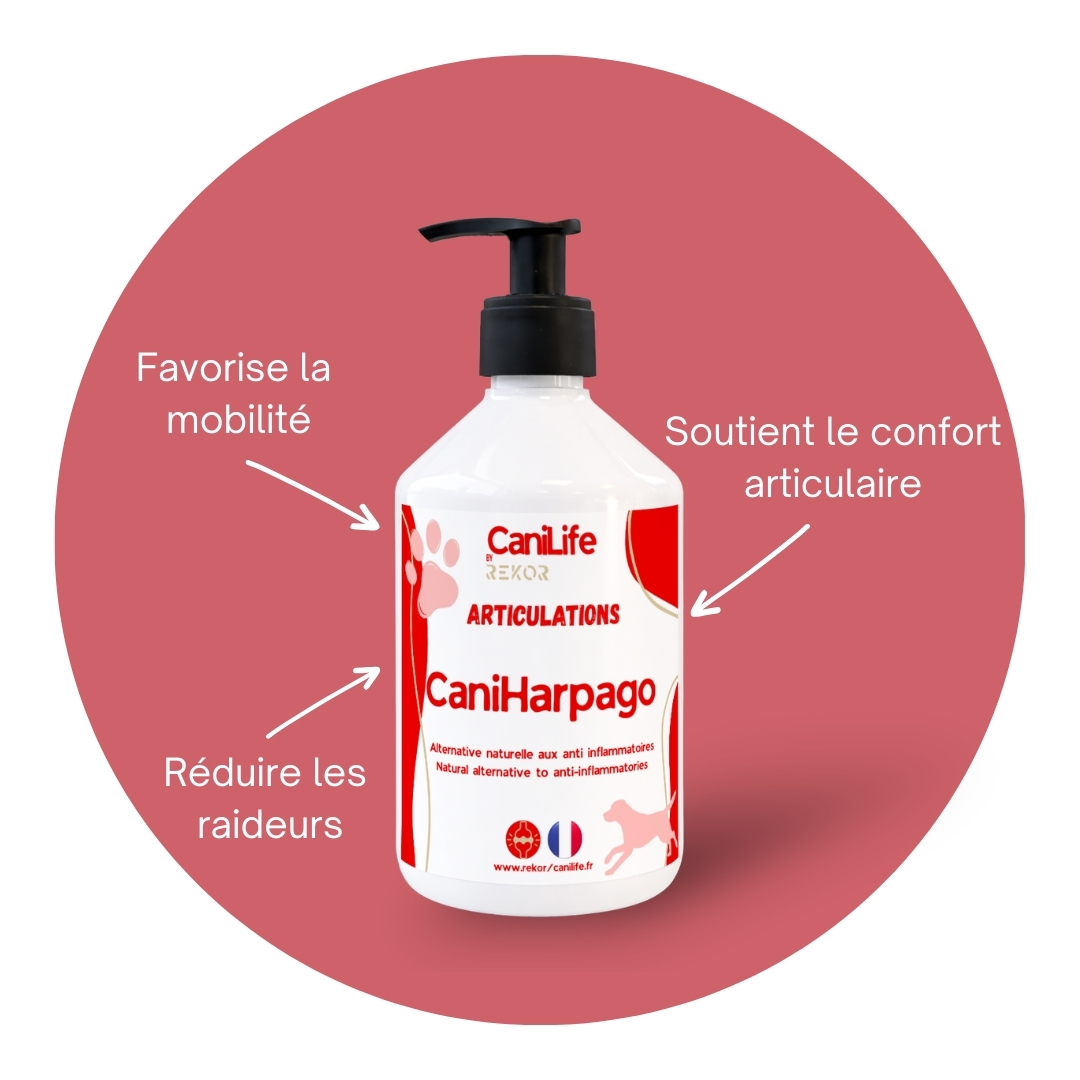 CaniHarpago (Ex CaniBute)