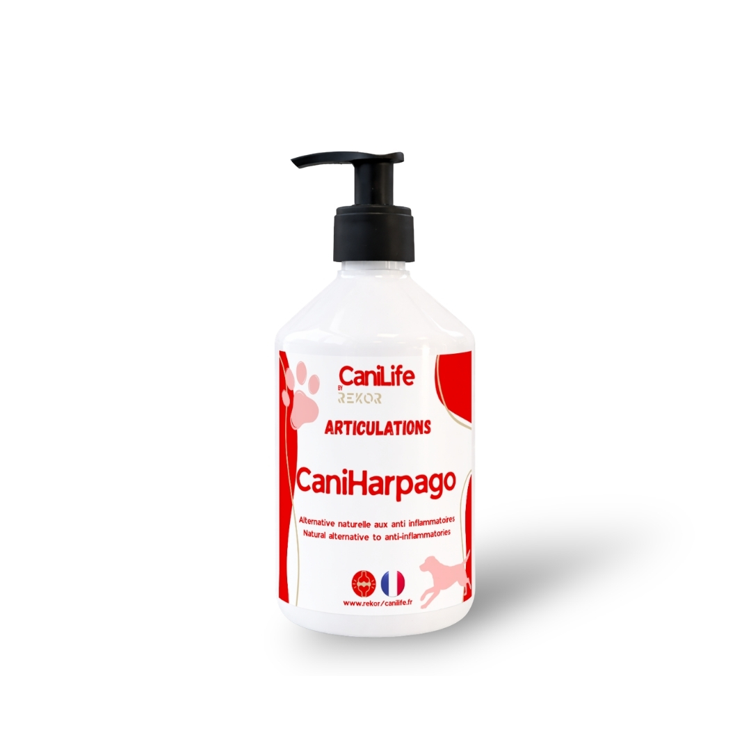 CaniHarpago (Ex CaniBute)