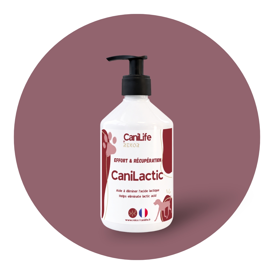 CaniLactic