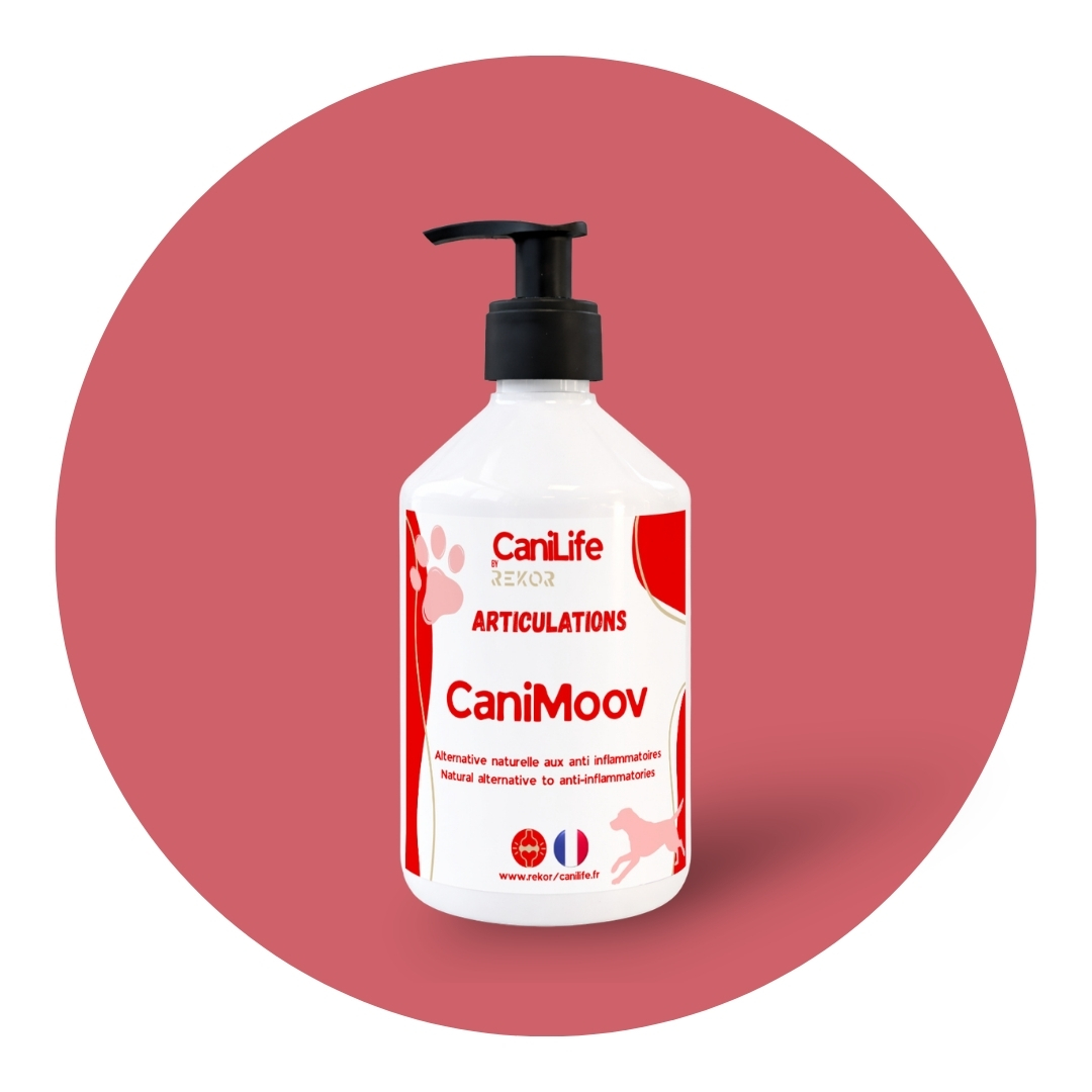 CaniMoov (Ex Caniless)