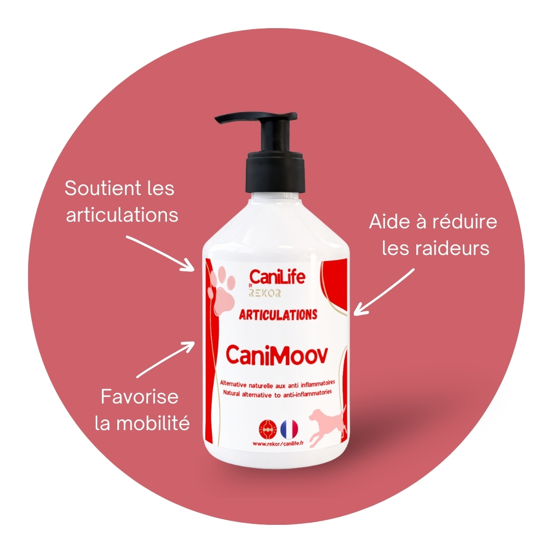 CaniMoov (Ex Caniless)