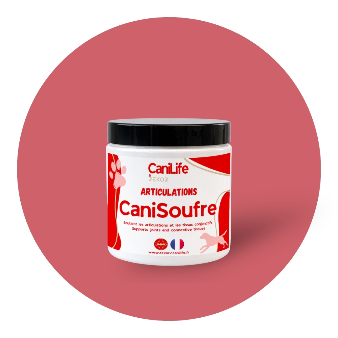 CaniSoufre