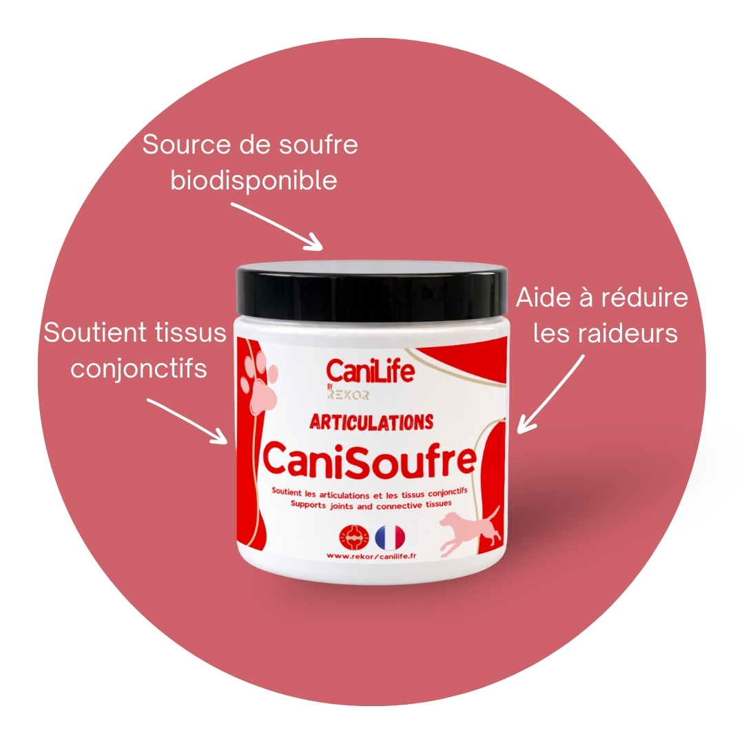 CaniSoufre