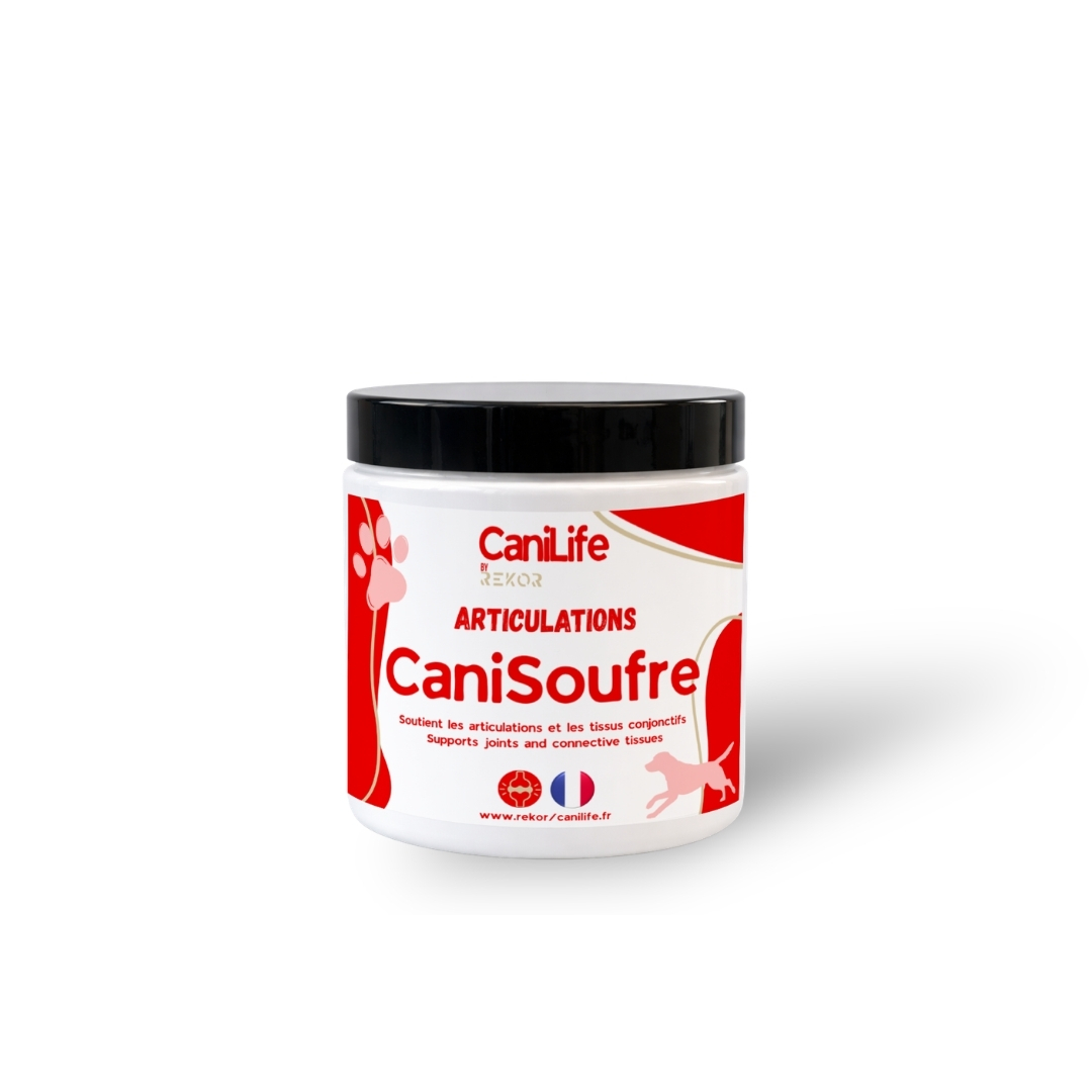 CaniSoufre