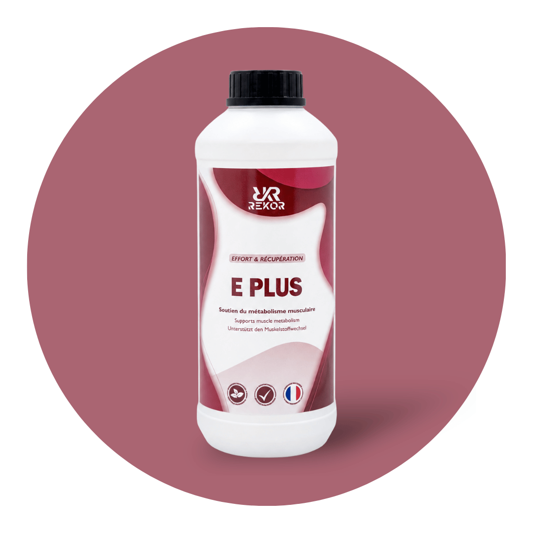 E Plus