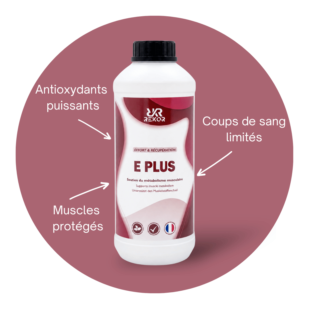 E Plus