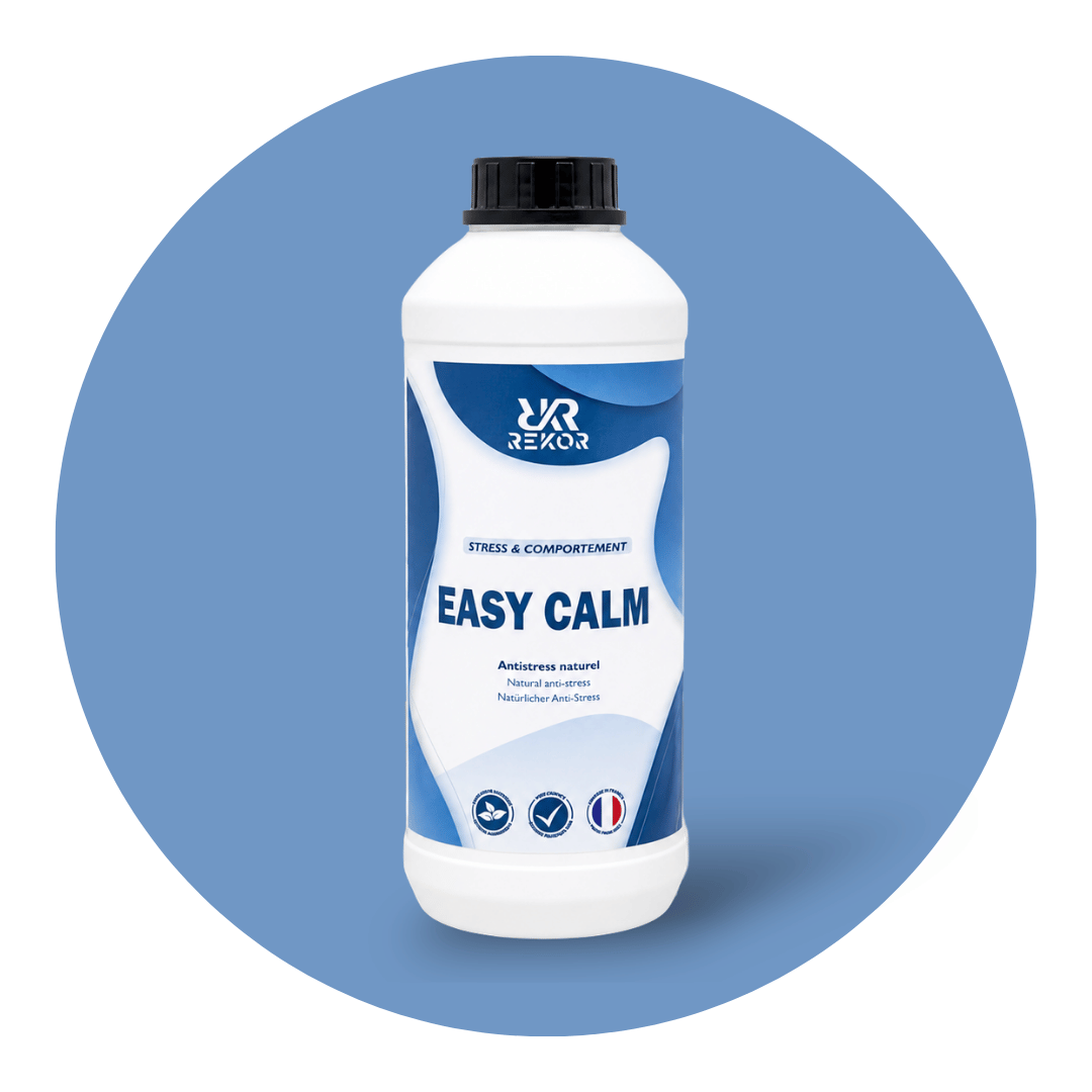 Easy Calm