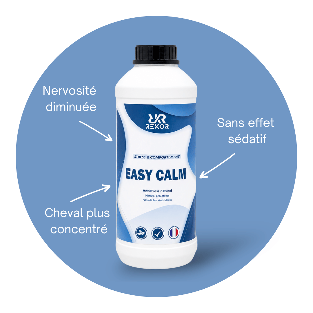 Easy Calm