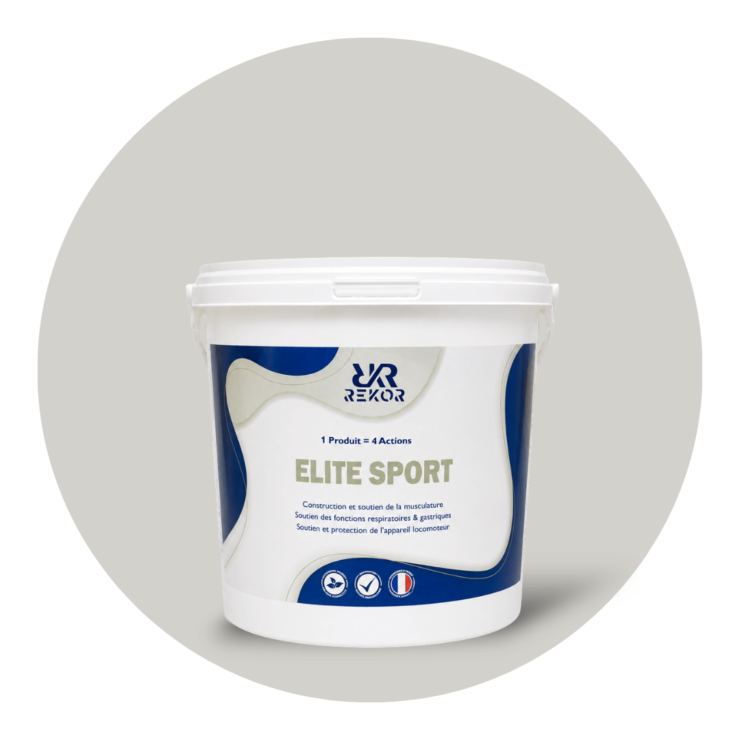 Elite Sport F1