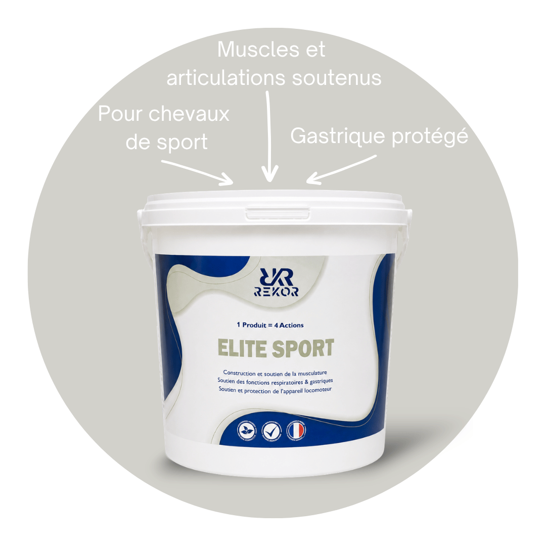 Elite Sport F1