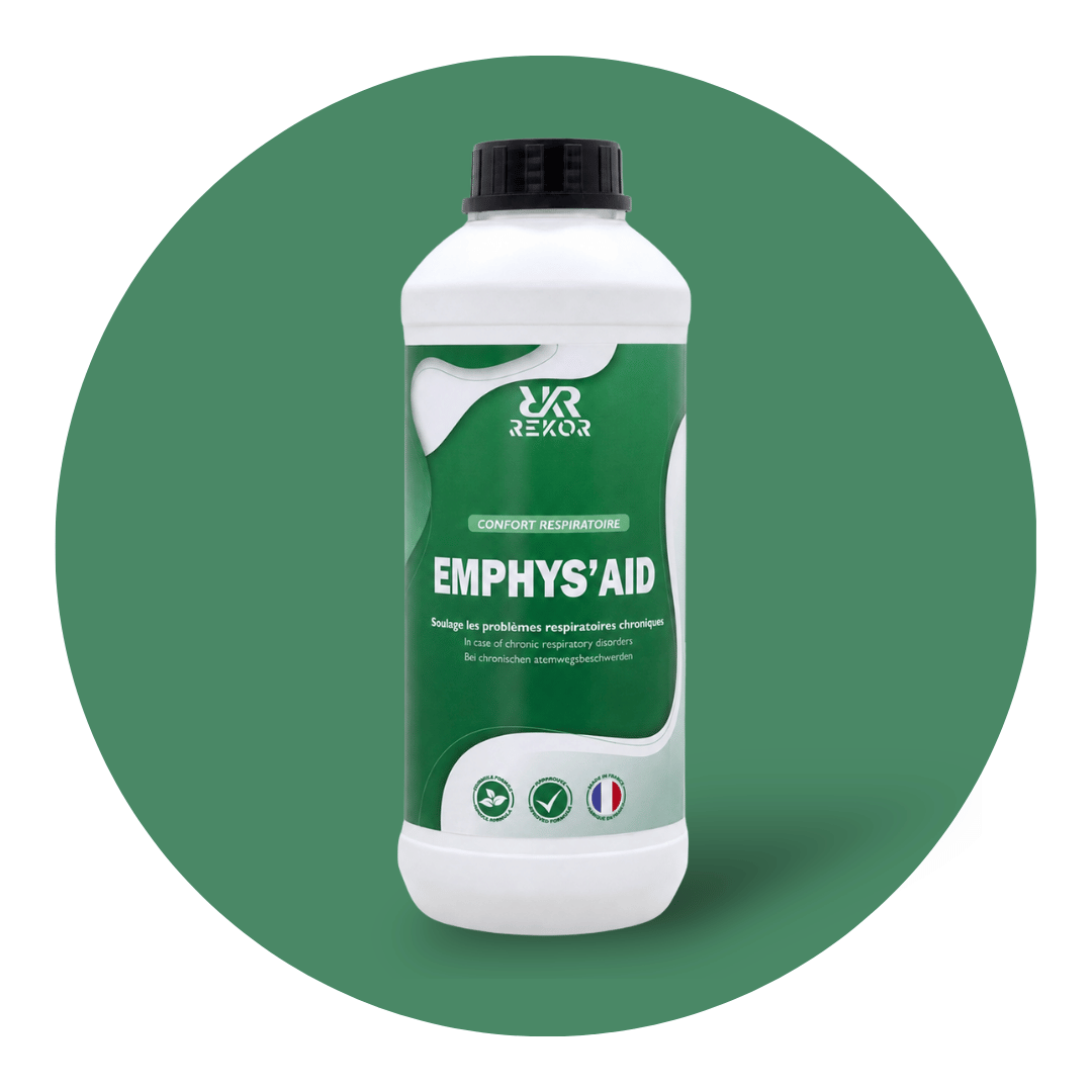 Emphys’Aid