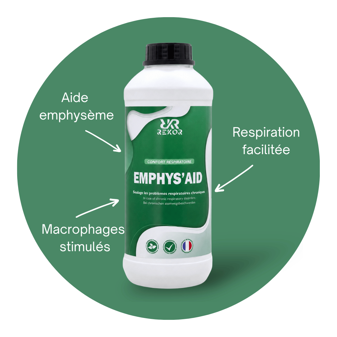 Emphys’Aid