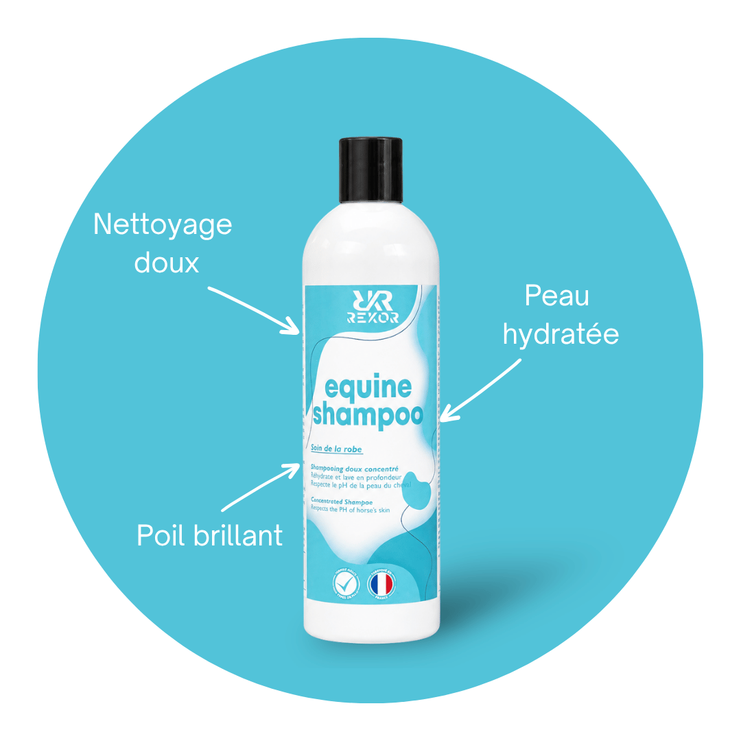 Equine Shampoo