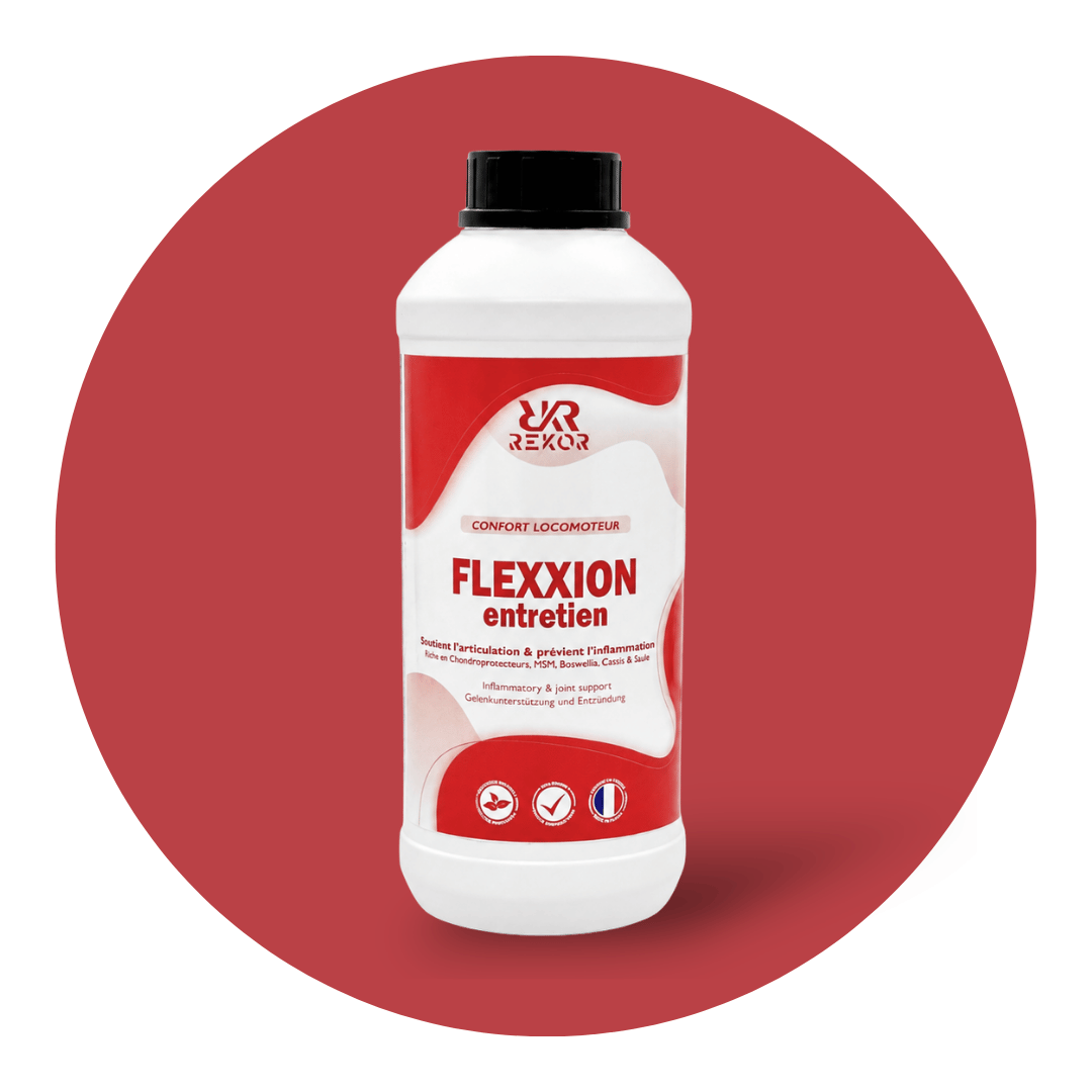 Flexxion Entretien