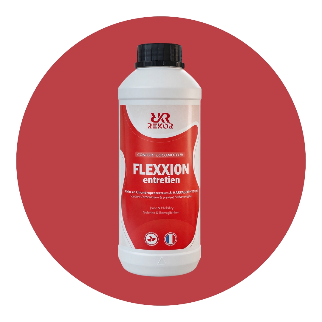 Flexxion Entretien avec Harpagophytum