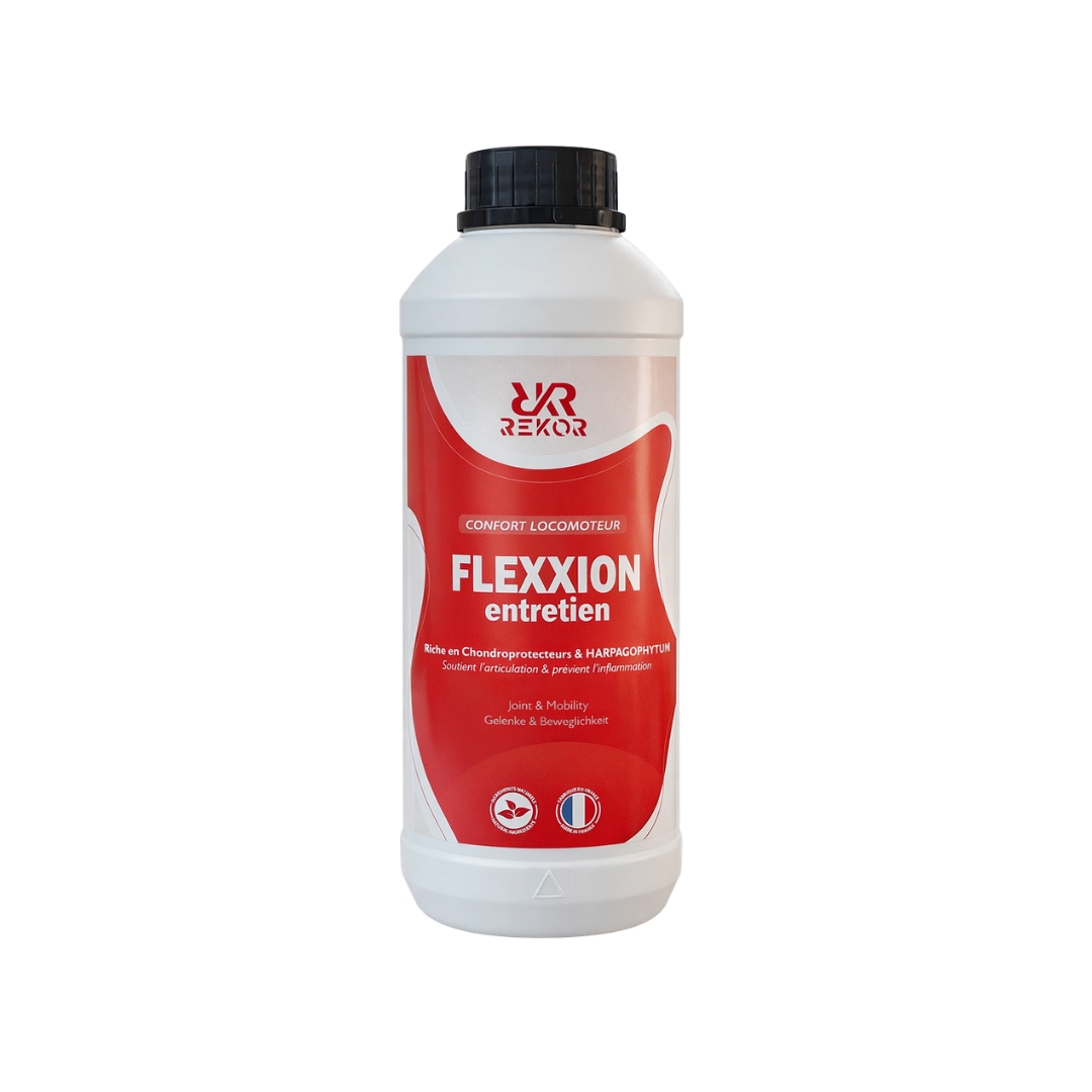Flexxion Entretien avec Harpagophytum