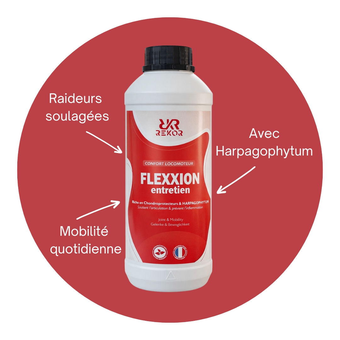 Flexxion Entretien avec Harpagophytum
