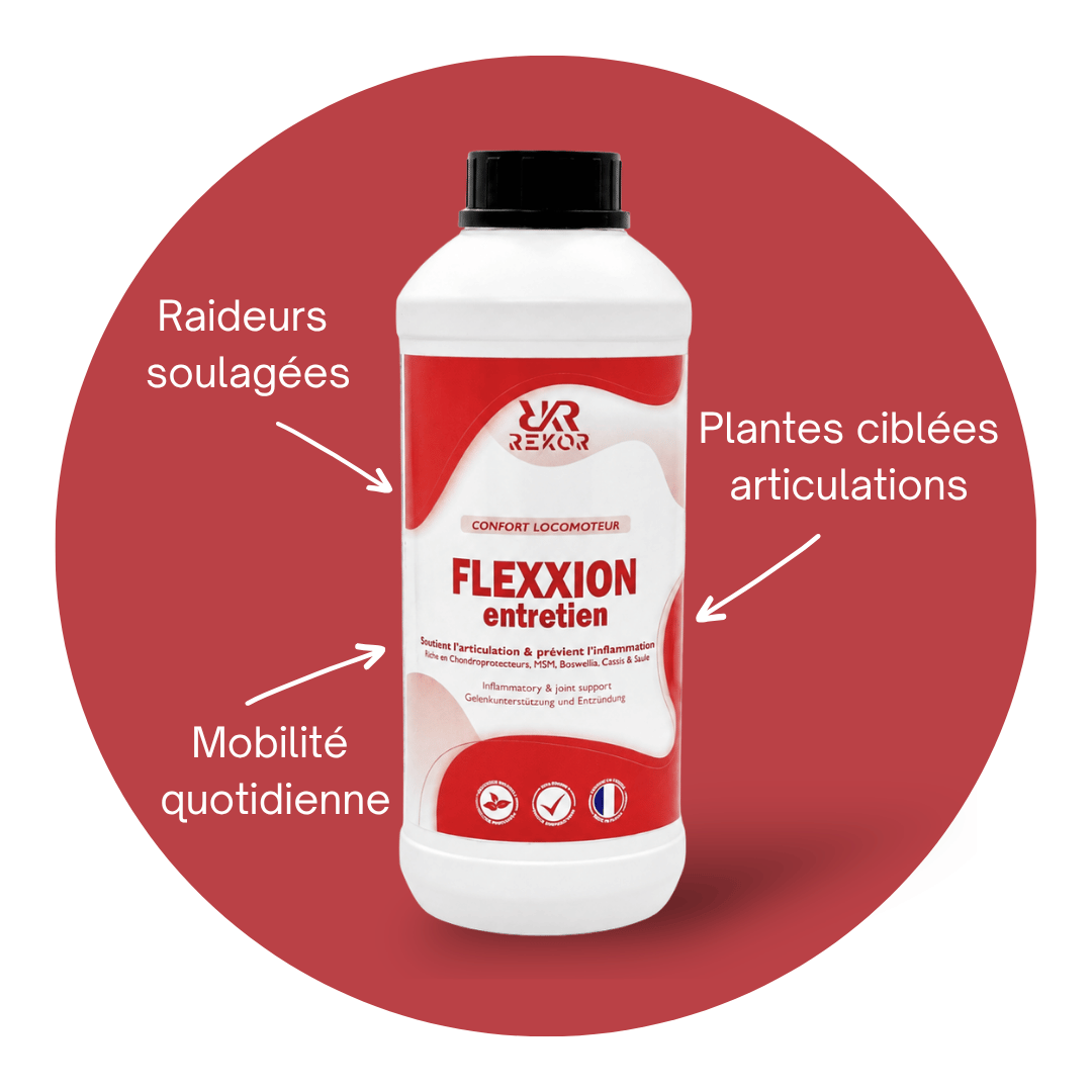 Flexxion Entretien