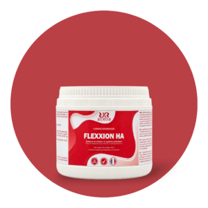Flexxion HA Poudre
