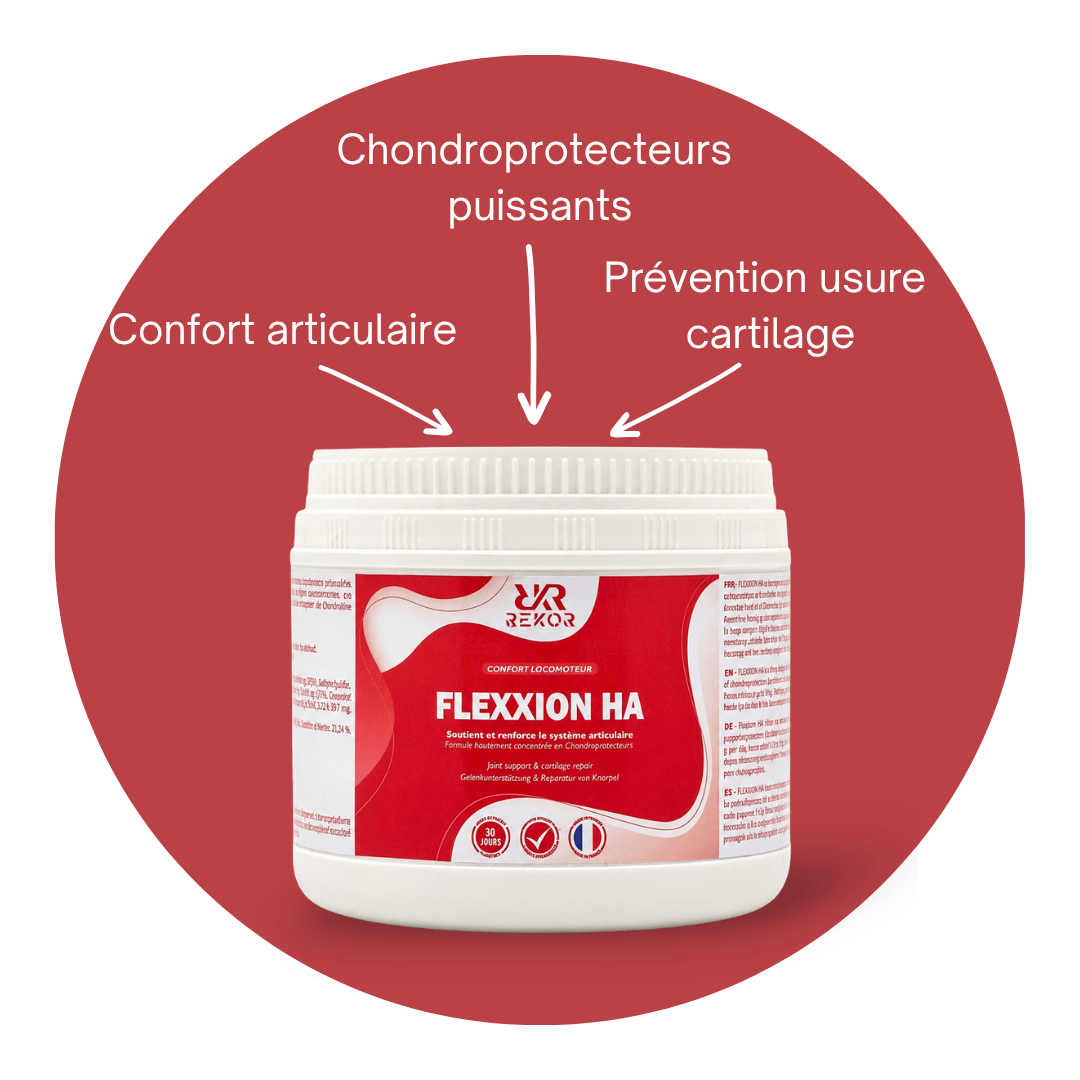 Flexxion HA Poudre