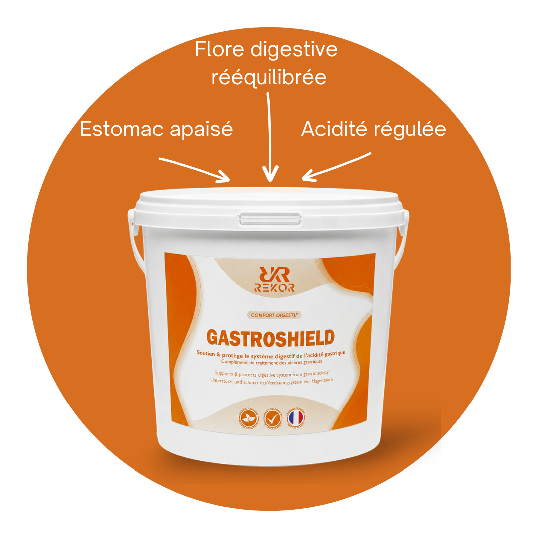 Gastroshield