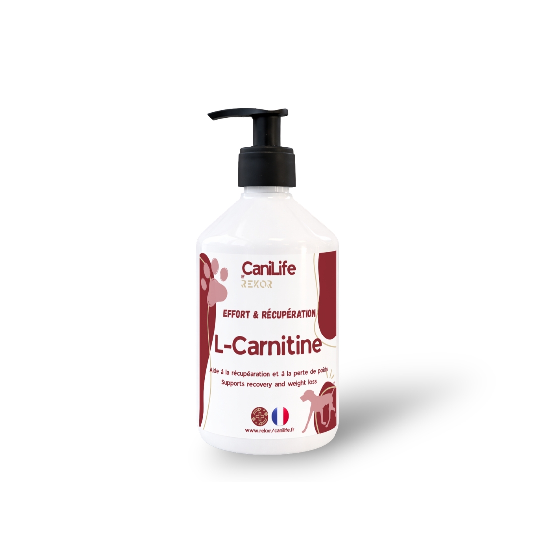 L-Carnitine