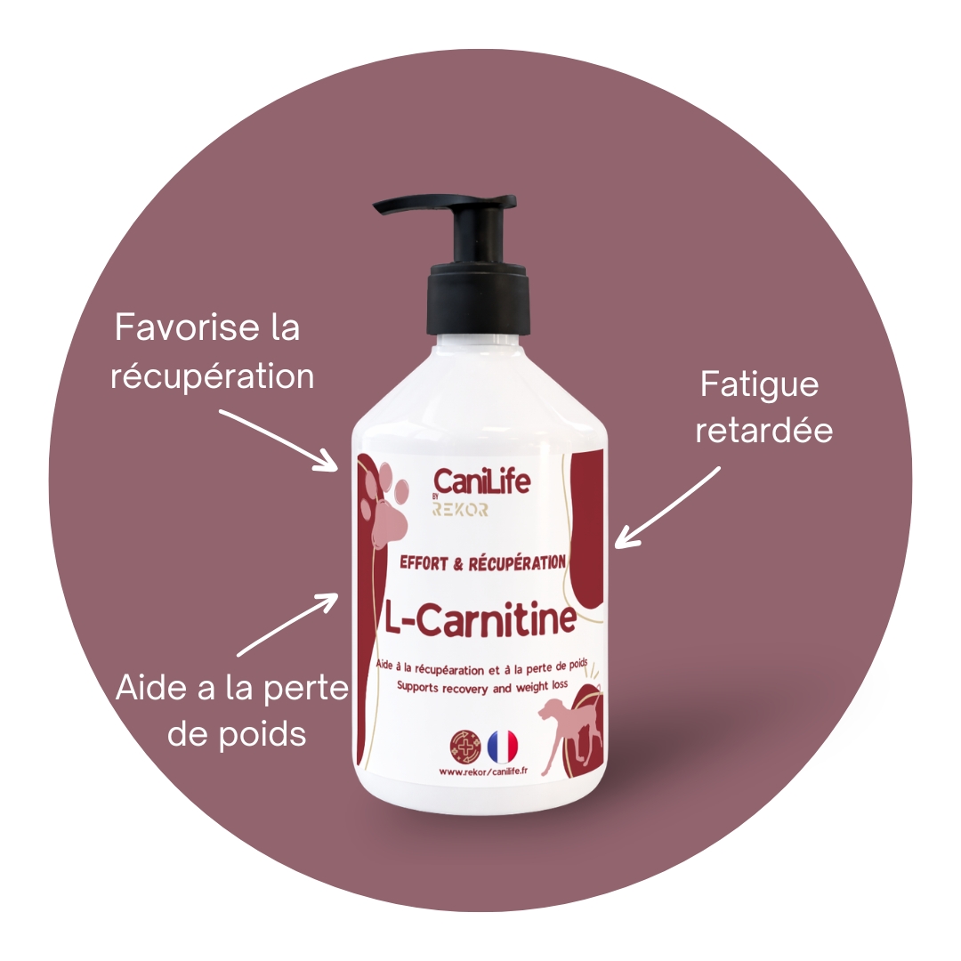 L-Carnitine
