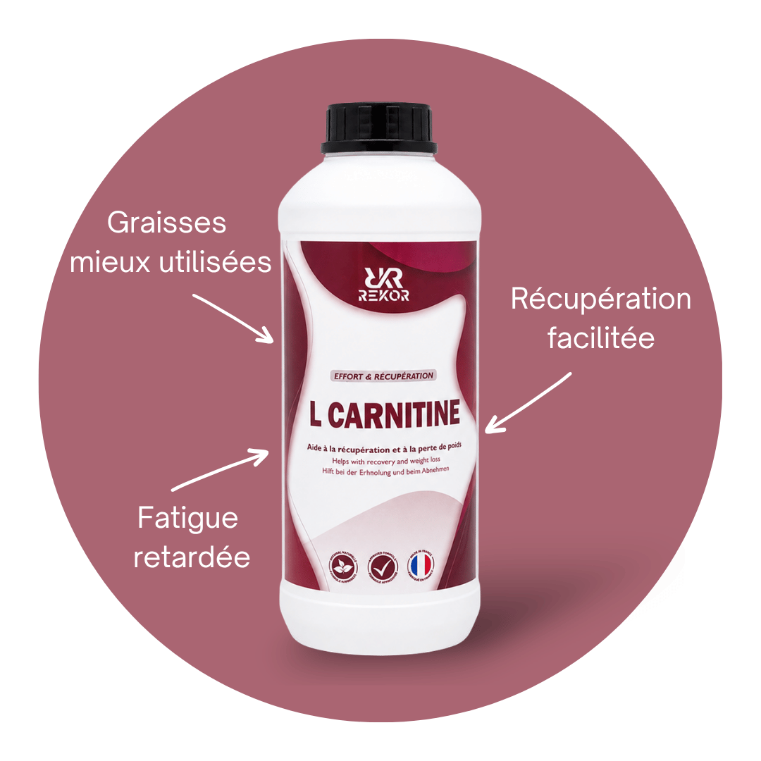 L Carnitine