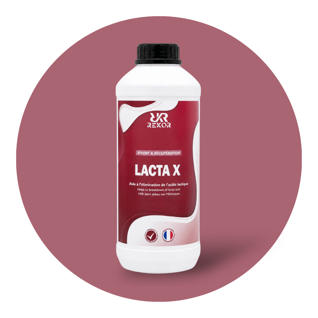 Lacta X