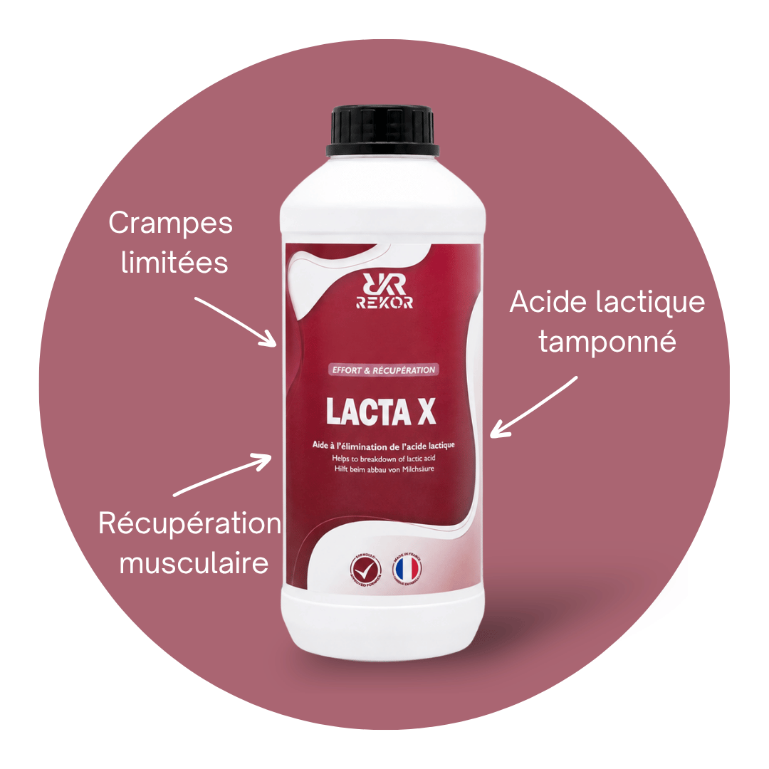 Lacta X