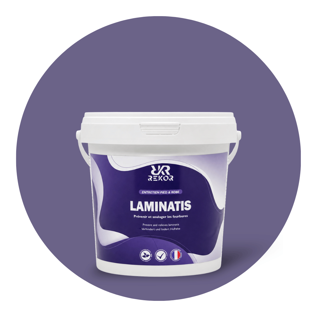 Laminatis